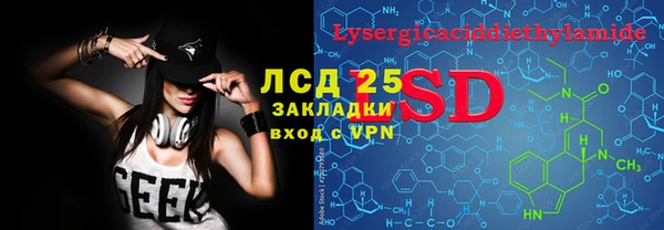 молекула духа Новозыбков