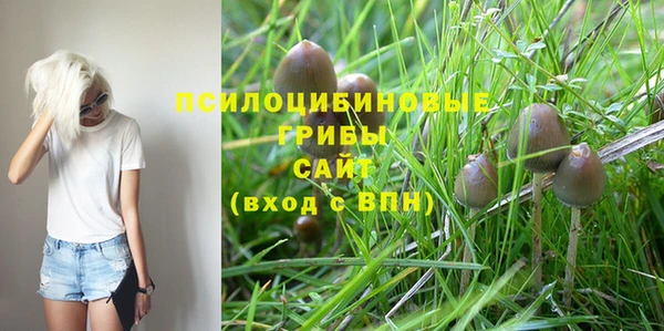 гашик Алексеевка