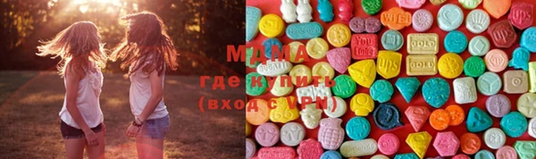 молекула духа Новозыбков