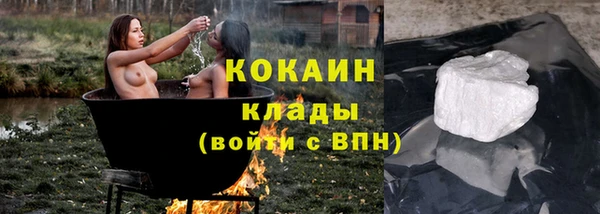 гашик Алексеевка
