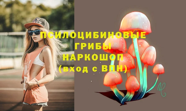 jwh Абаза